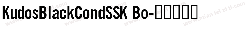 KudosBlackCondSSK Bo字体转换